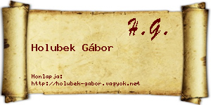 Holubek Gábor névjegykártya